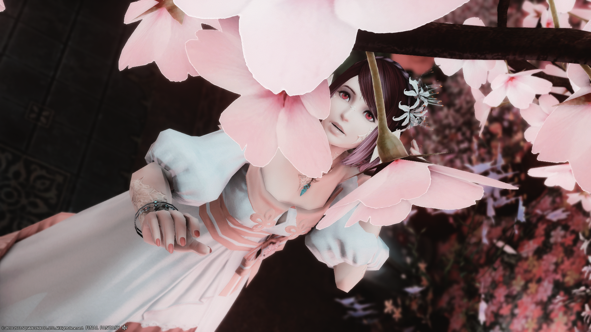 帕尼尼